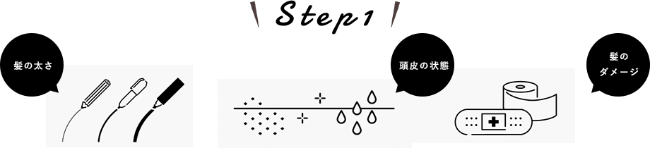 Step1 髪の太さ 頭皮の状態 髪のダメージ