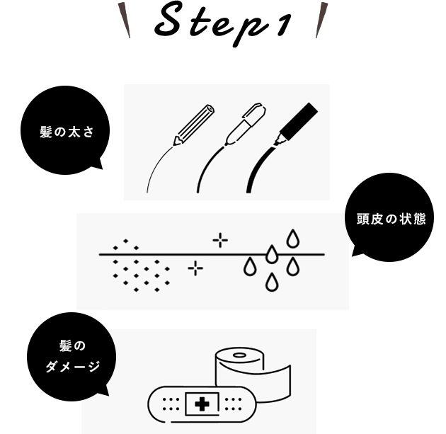 Step1 髪の太さ 頭皮の状態 髪のダメージ